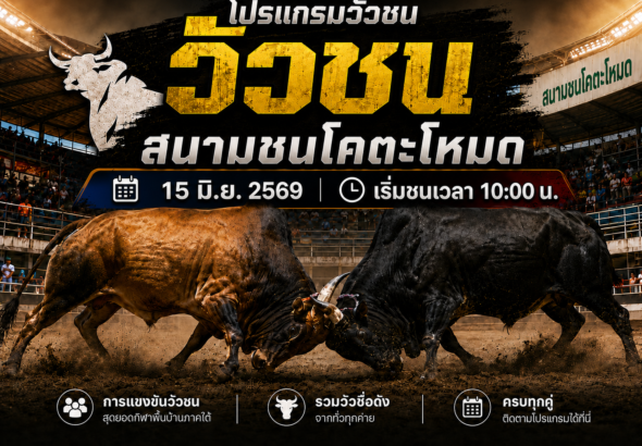 โปรแกรมวัวชน วันที่ 15 มิ.ย. 2569 สนามชนโคตะโหมด | เริ่มชนเวลา 10:00 น.