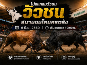 โปรแกรมวัวชน สนามชนโคนครตรัง วันที่ 6 มิ.ย. 2569 เริ่มชนเวลา 1000 น.