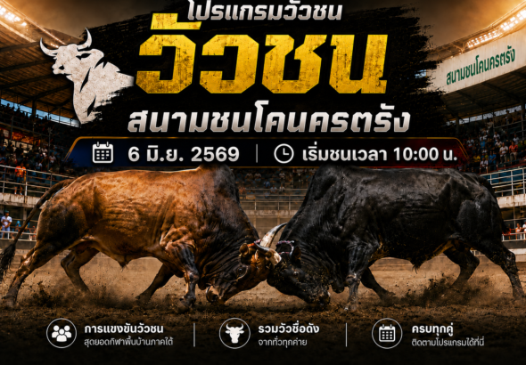 โปรแกรมวัวชน สนามชนโคนครตรัง วันที่ 6 มิ.ย. 2569 เริ่มชนเวลา 1000 น.